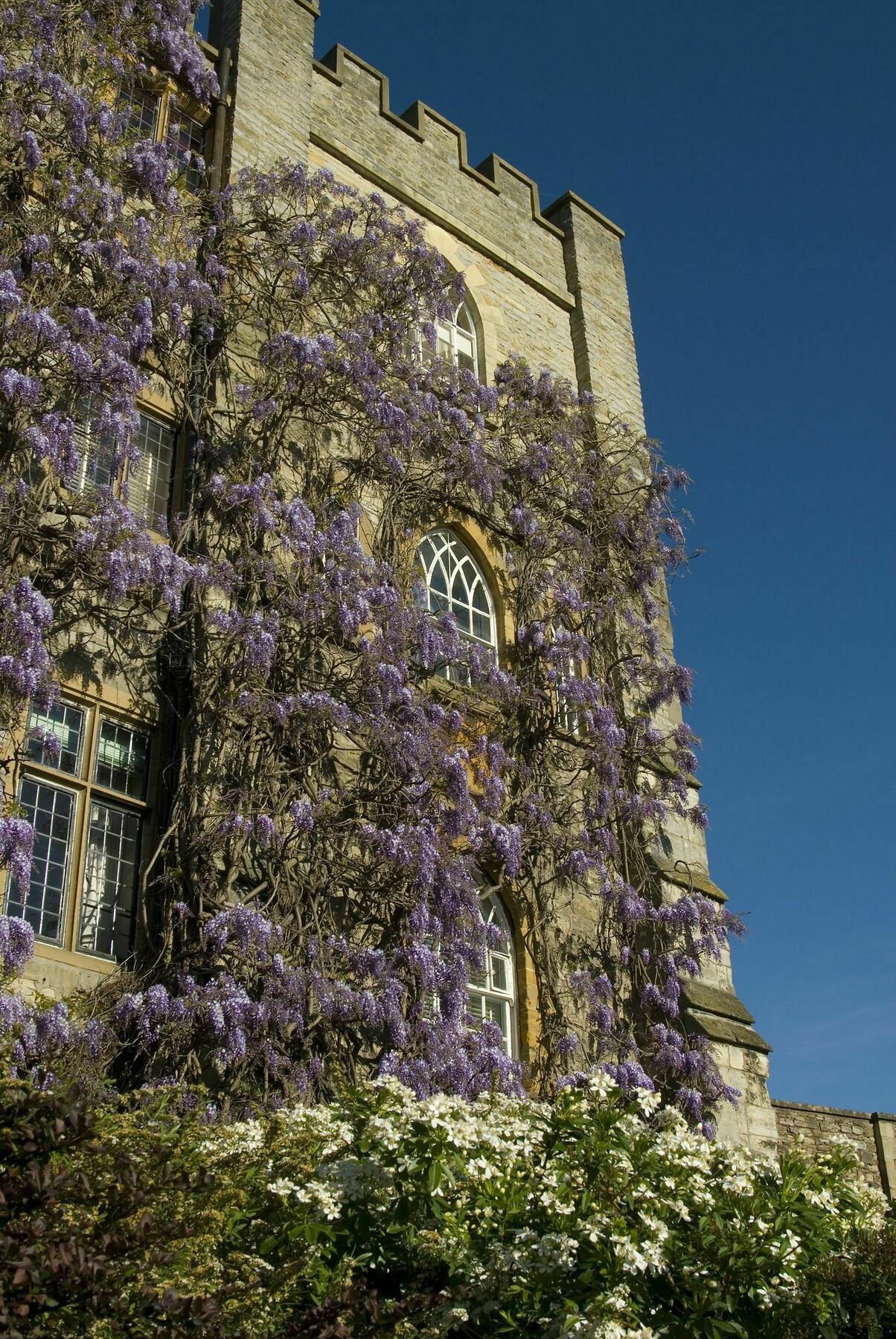 Castle Hotel Taunton Bagian luar foto